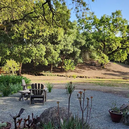 Amitabha Wine Country Cottage Santa Rosa Exterior photo