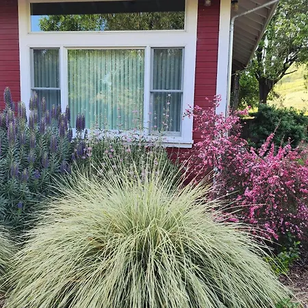 Amitabha Wine Country Cottage Santa Rosa Exterior photo