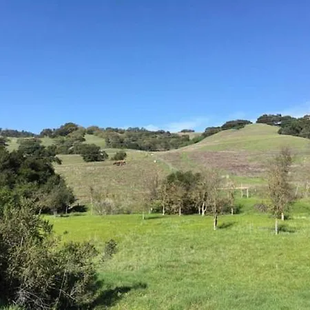 Amitabha Wine Country Cottage Santa Rosa Exterior photo
