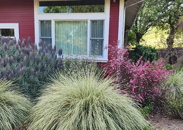 Amitabha Wine Country Cottage