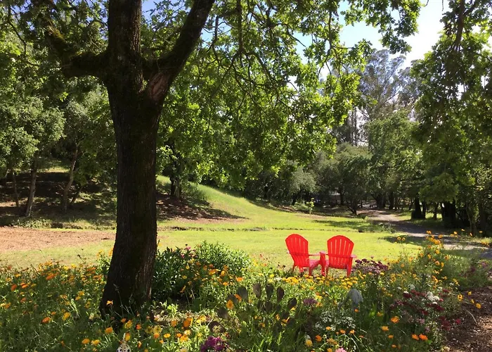 Amitabha Wine Country Cottage