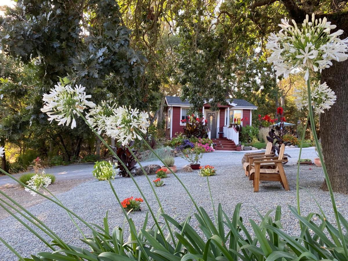 Amitabha Wine Country Holiday home Santa Rosa