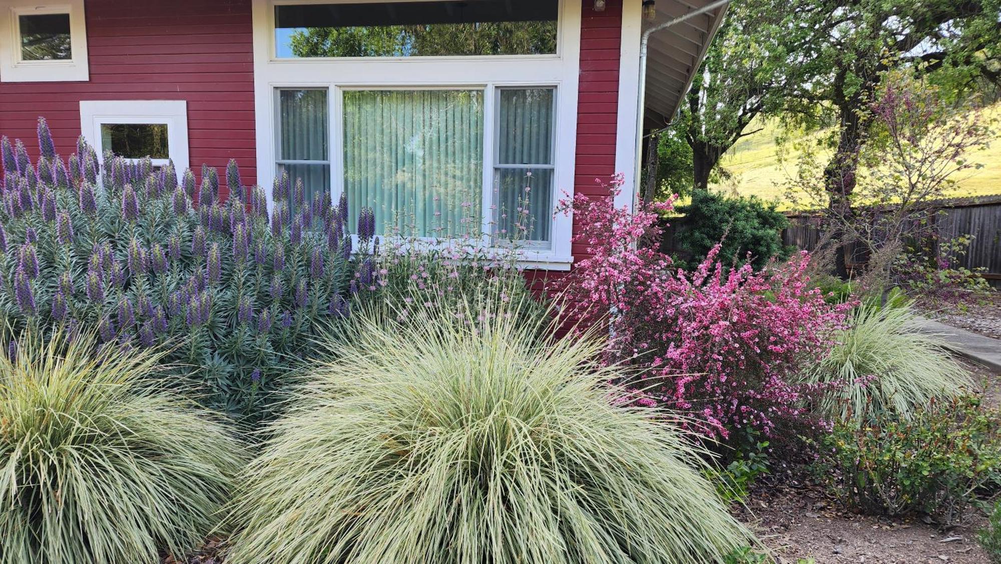 Amitabha Wine Country Holiday home Santa Rosa