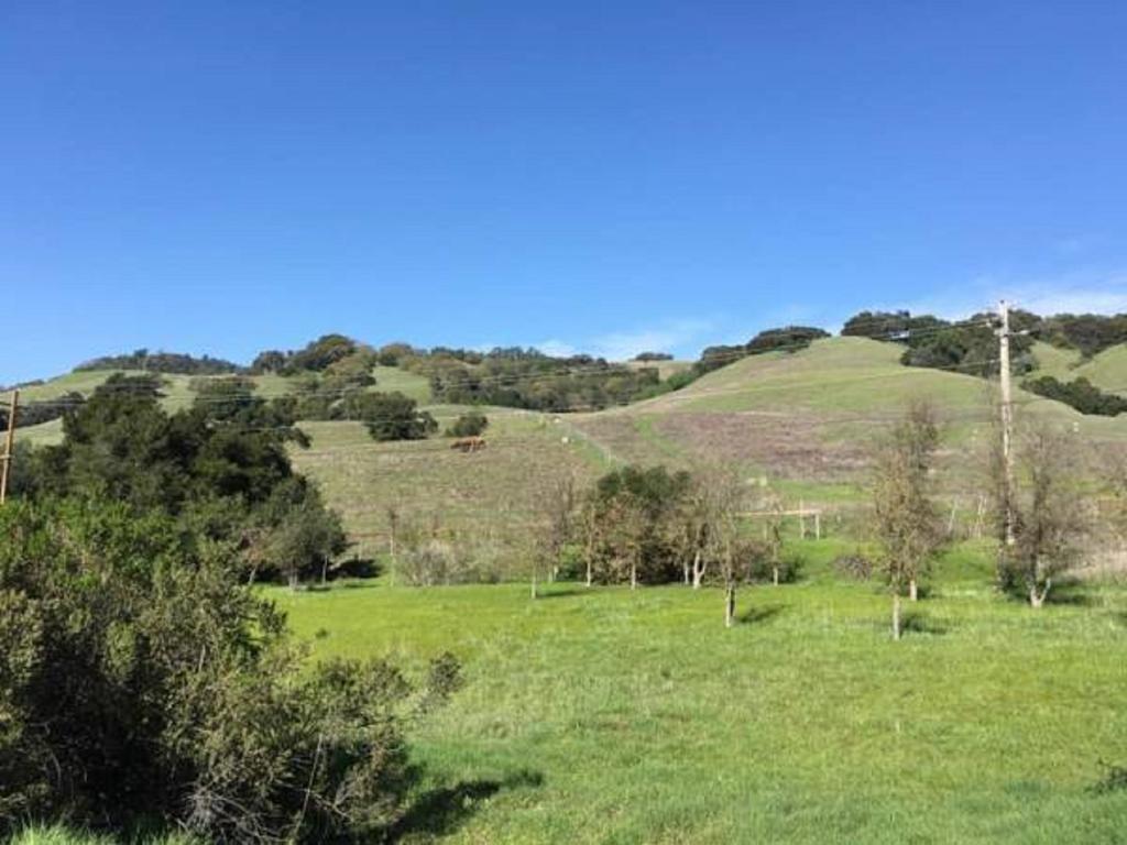 Amitabha Wine Country