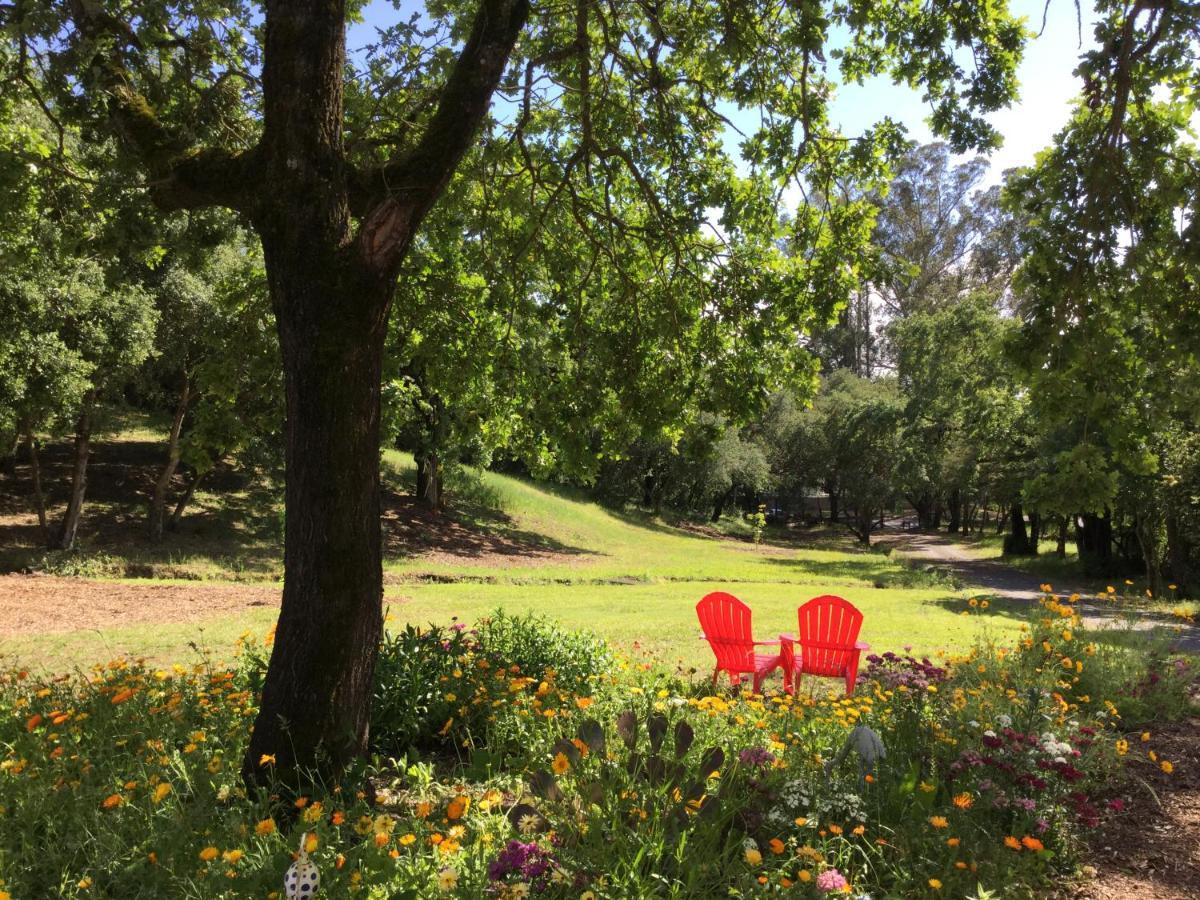 Holiday home Amitabha Wine Country *